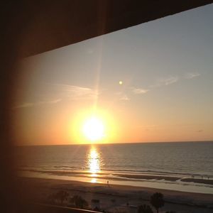 Meet your Posher, Joyce